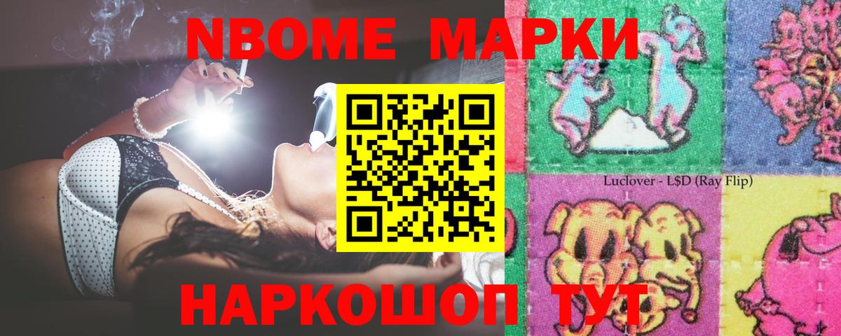 APVP Тамбов