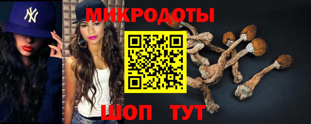 Галлюциногенные грибы GOLDEN TEACHER  Вход с VPN  Галлюциногенные грибы Magic Shrooms  Тамбов 