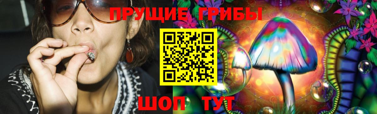 Псилоцибиновые грибы GOLDEN TEACHER Тамбов